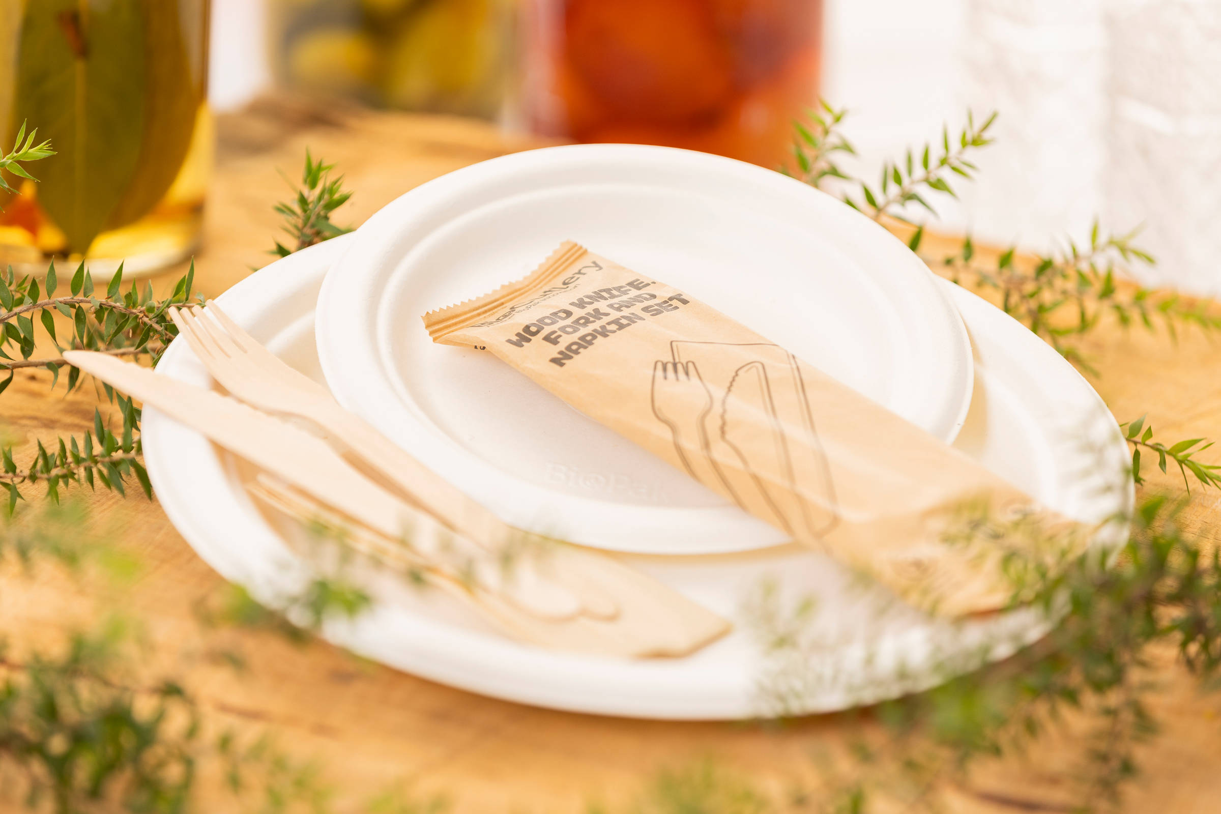 Compostable plates and cutlery. Credit: Richard Jupe.
